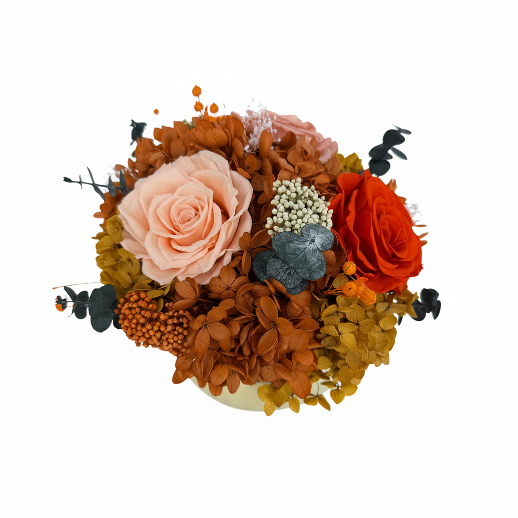 第1张 IMG_3464 白底主图