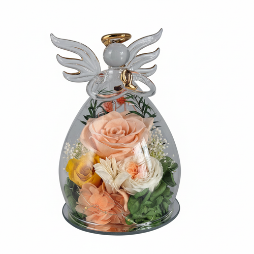 产品图片1 - 纯白背景