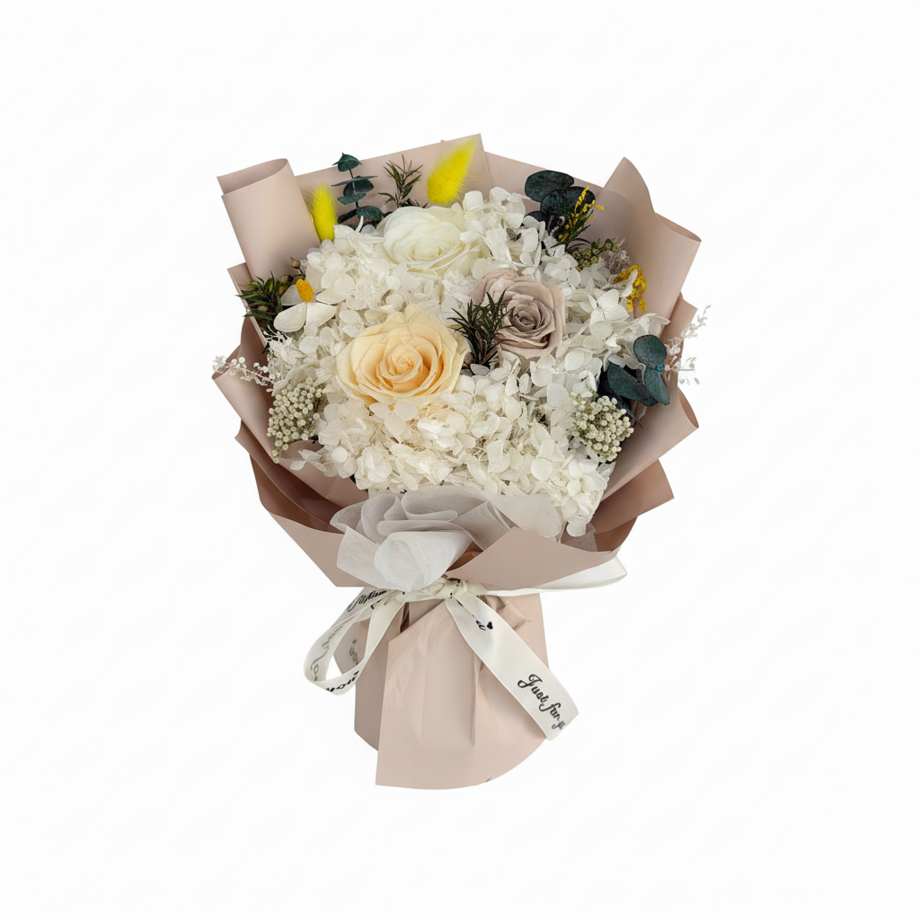 图片1 - 纯白背景