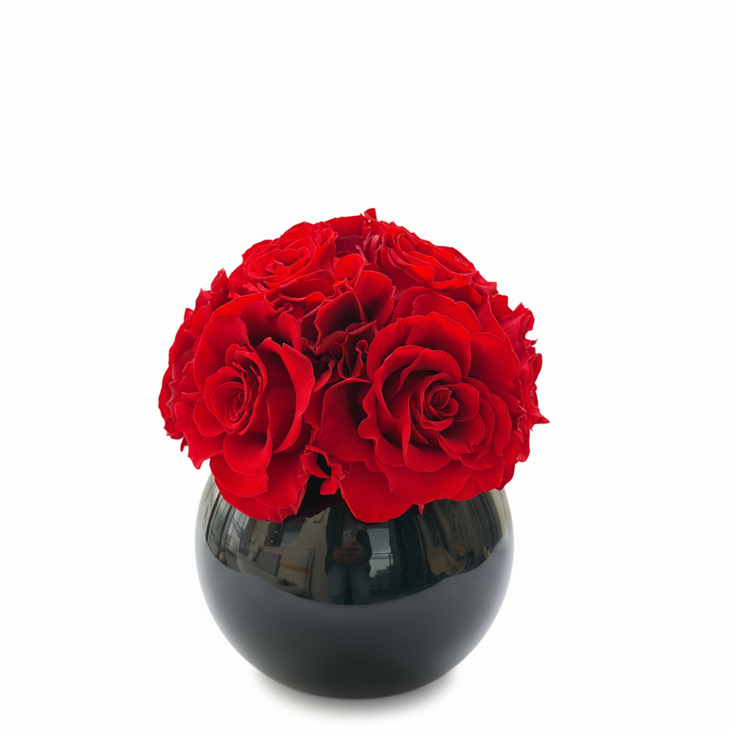 图片3 - 纯白背景