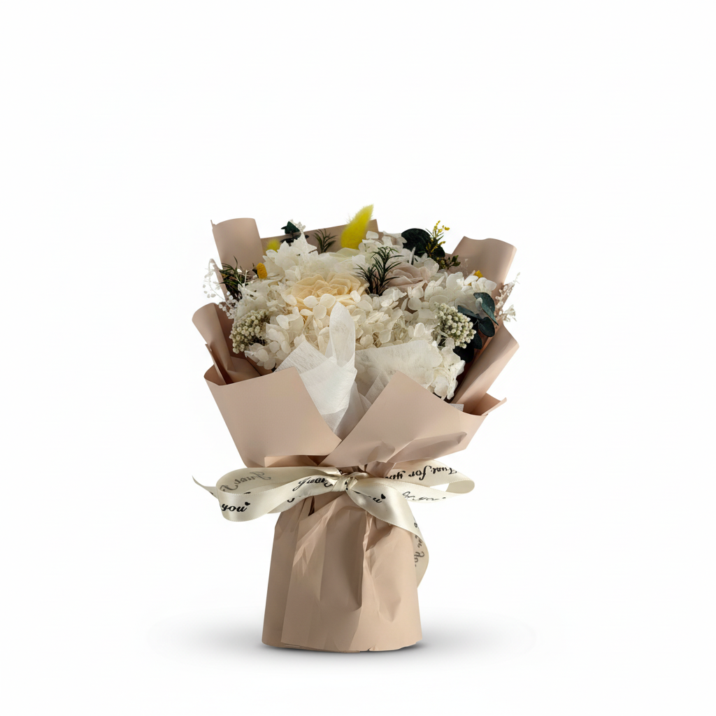 图片3 - 纯白背景