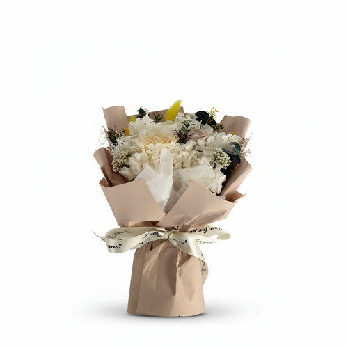 图片3 - 纯白背景