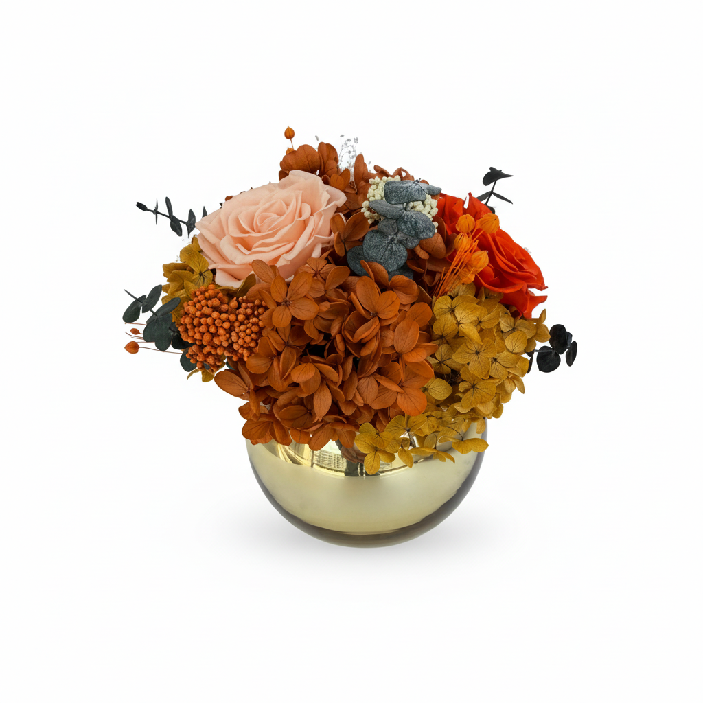 第4张 IMG_3466 白底主图