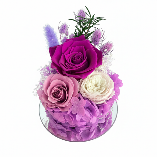 图片4 - 纯白背景