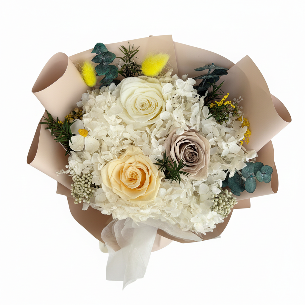 图片4 - 纯白背景