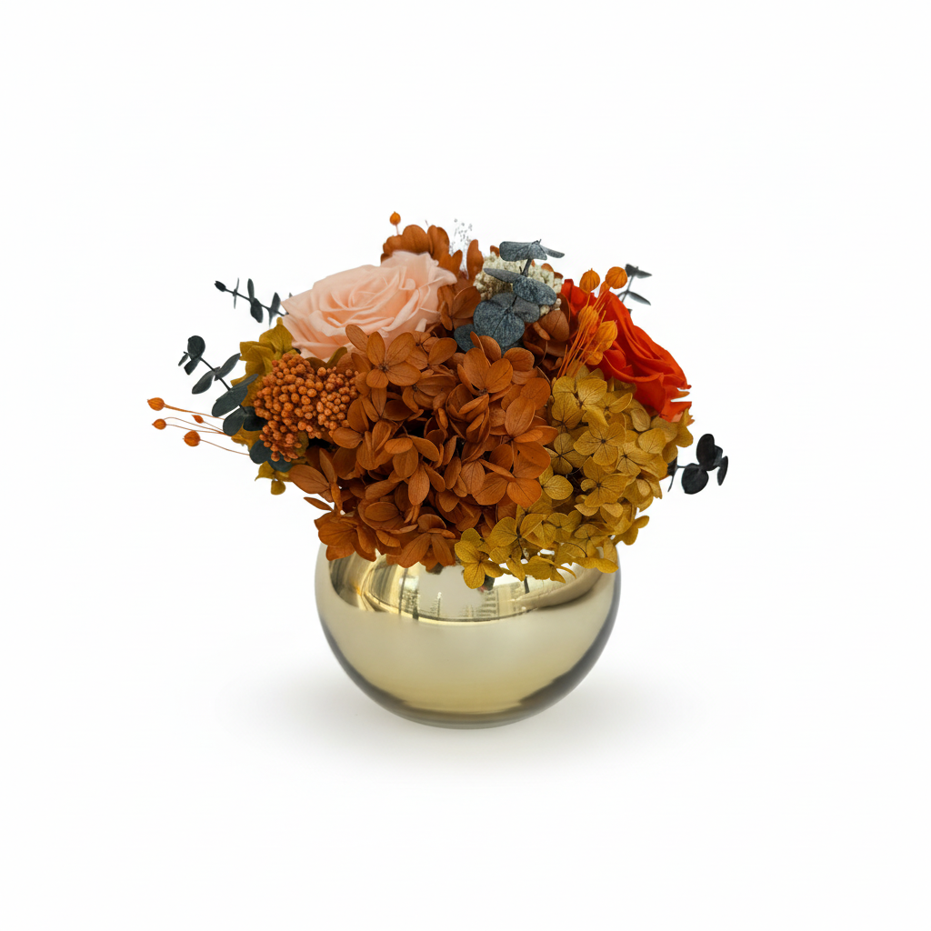 第5张 IMG_3462 白底主图