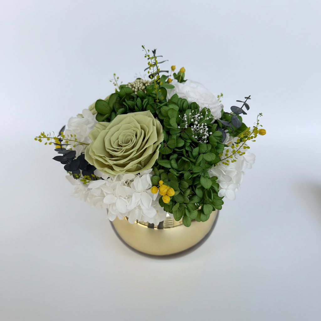 IMG_3467 白底主图（重新生成）