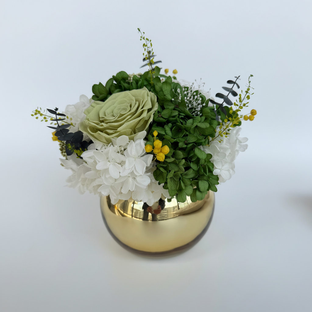 IMG_3468 白底主图（重新生成）