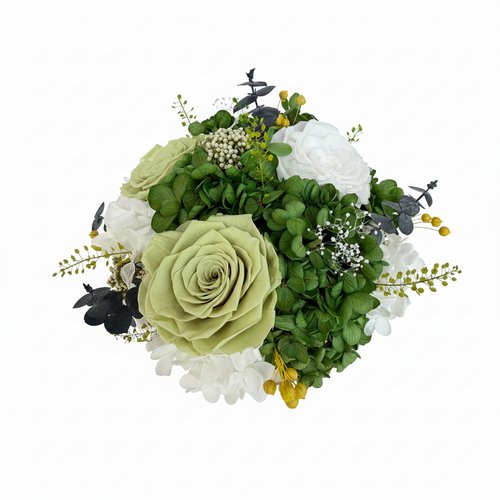 IMG_3470 白底主图