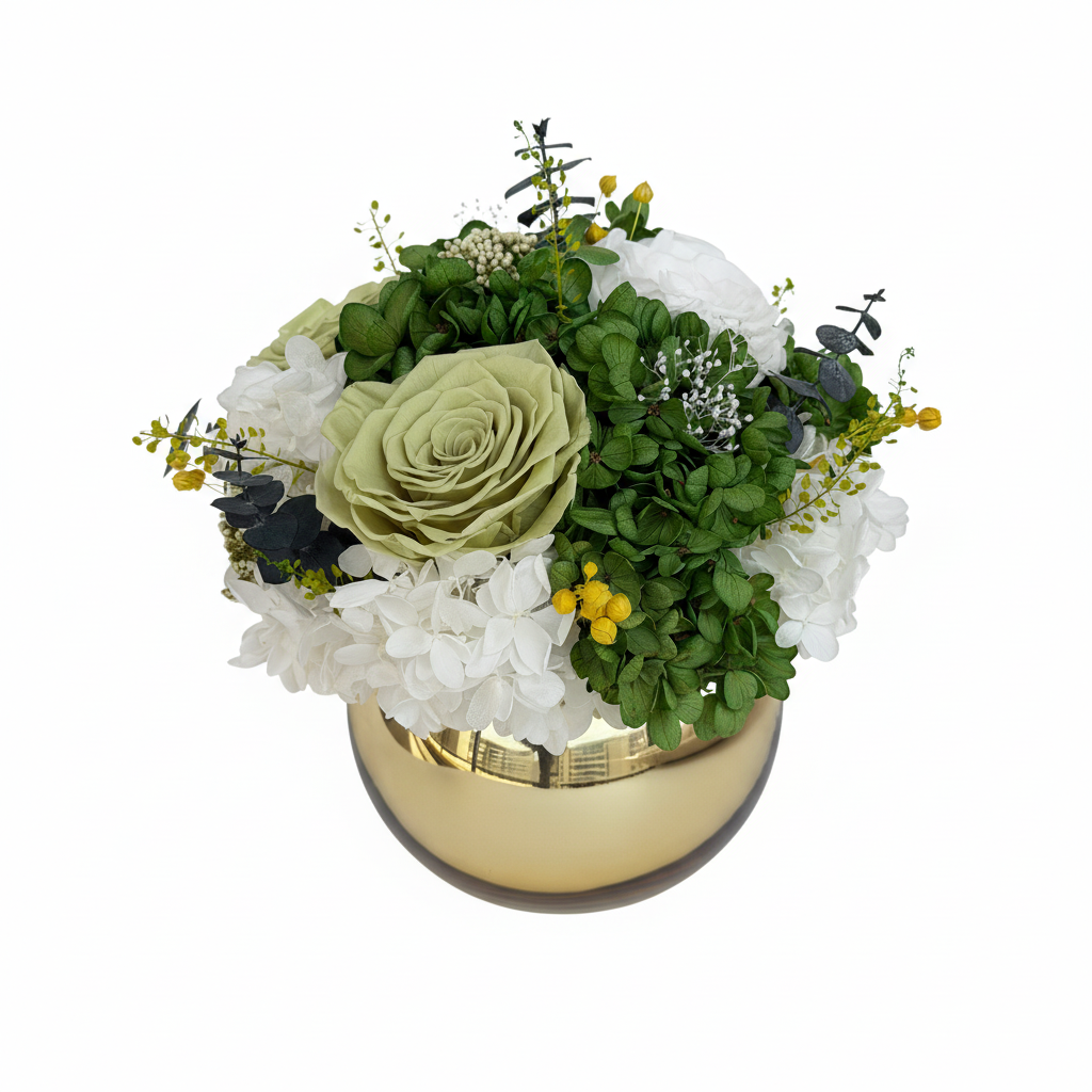 IMG_3471 白底主图